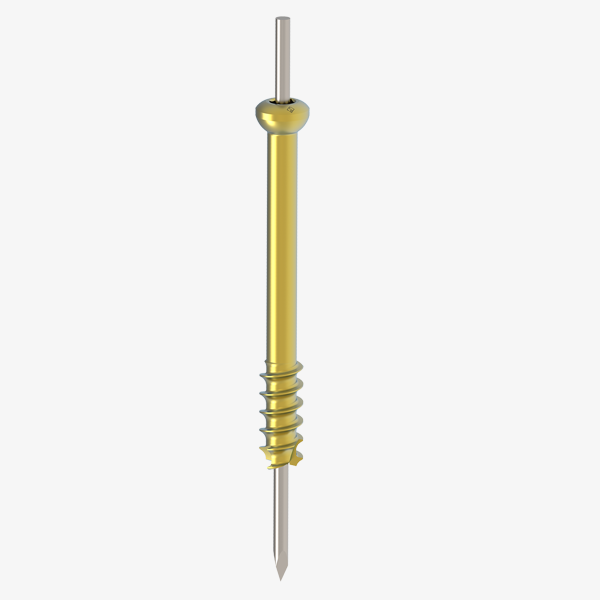 Large Cannulated Screws Ø 6.5MM/16 MM TH.