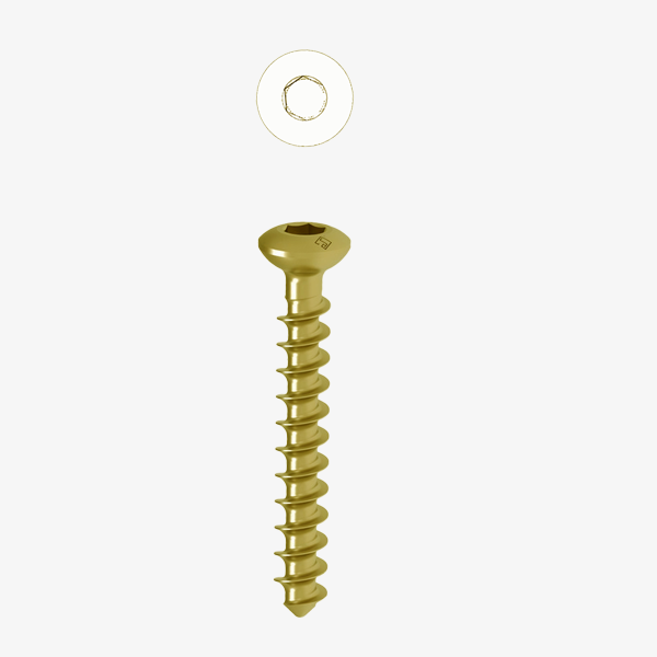 Cancellous Screws Ø 4.5MM (F.TH)