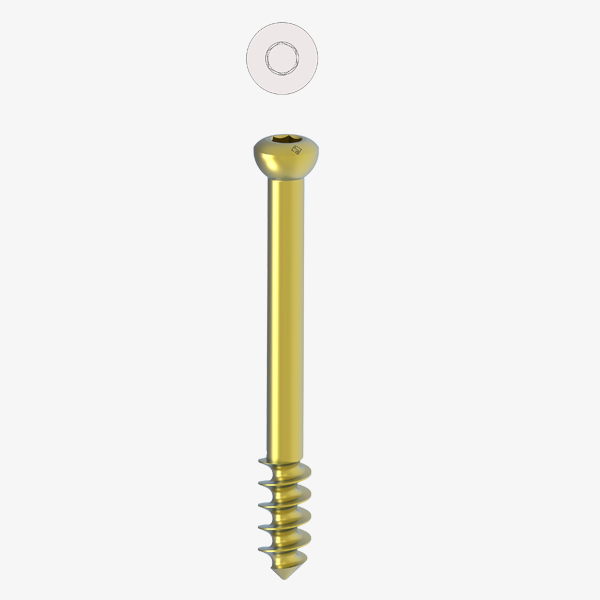 Cancellous Screws Ø 6.5MM/16MM TH