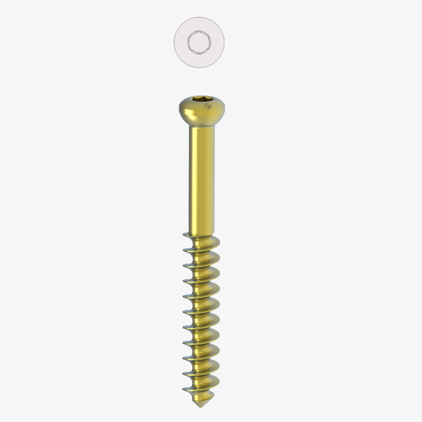 Cancellous Screws Ø 6.5MM/32MM TH