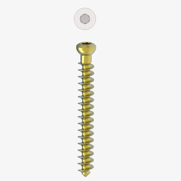 Cancellous Screws Ø 6.5MM (F.TH)