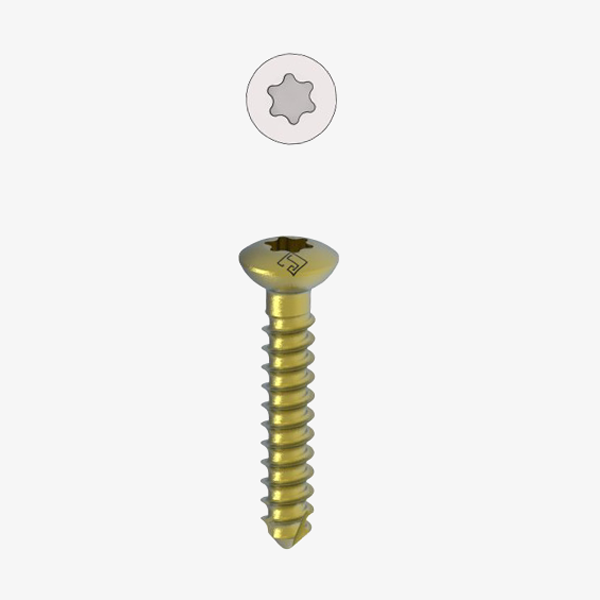 Cortical Screws 2.7MM Self Tapping (Star Head)
