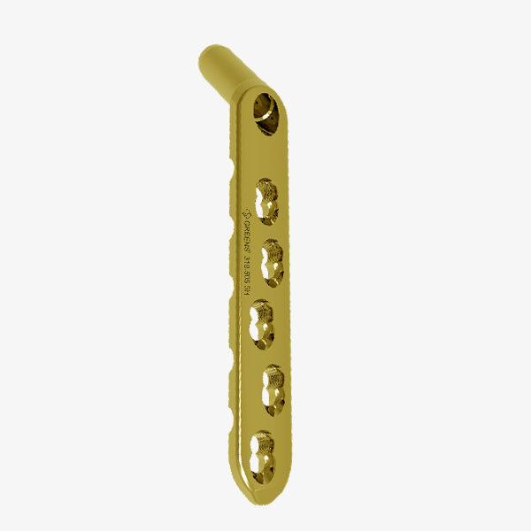 DHS L/B Plate with Combi Hole 140° (A.O Type, Long)