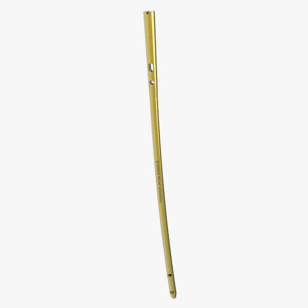 Interlocking Femoral Nail (Reamed)