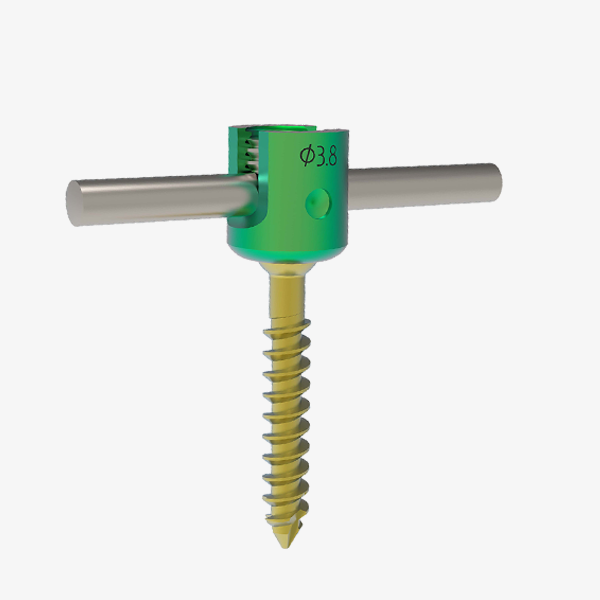 Lateral Mass /  Posterior Cervical Poly Screws 4.0 mm