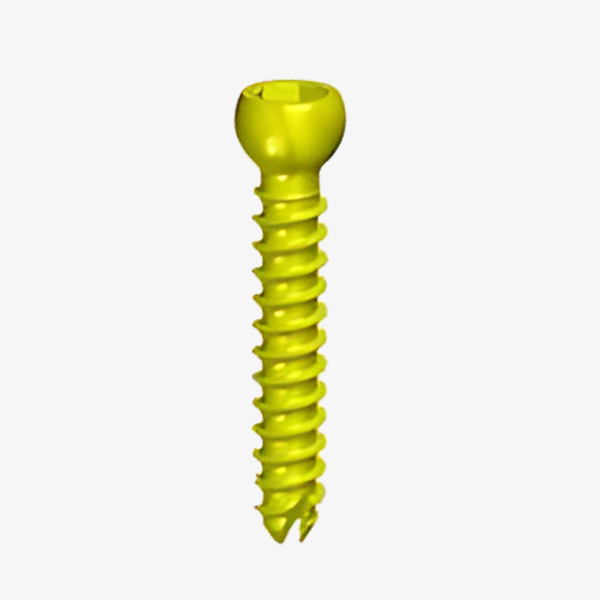 Odontoid Screw (C2 Screw) 4.0MM