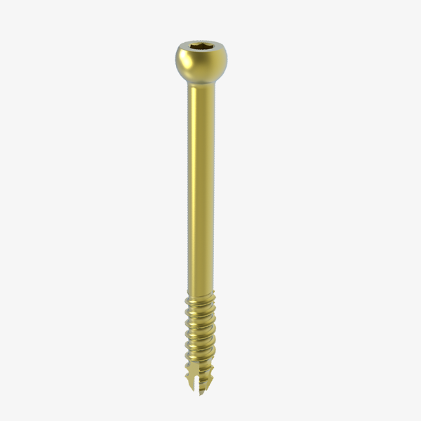 Odontoid Screw (C2 Screw) 4.0MM Partially Threaded
