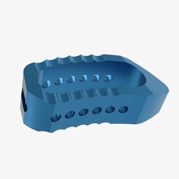 TLIF CAGE (Kidney cage)