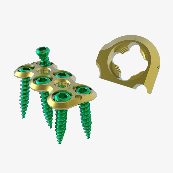 Variable Angle Cervical Plate