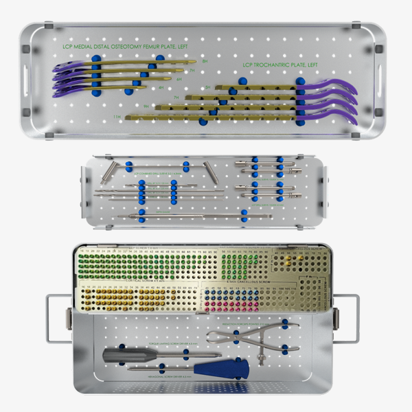 LARGE FRAGMENT IMPLANTS SYSTEM