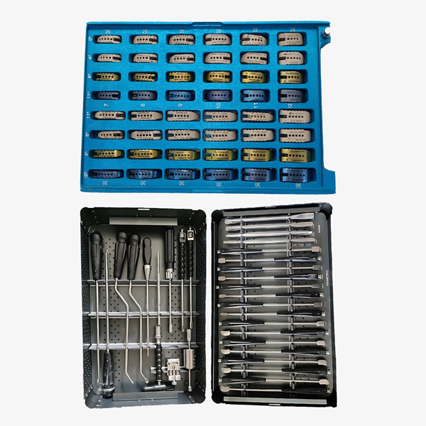 TLIF/ PLIF Cage Implant System